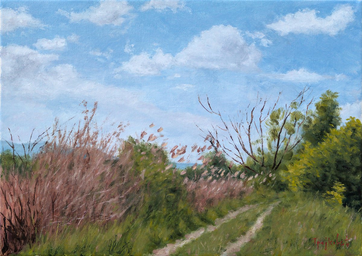 Impressionistic Landscape Oil Painting By Dejan Trajkovic, 14 X 10, Jezava, Original Artwork