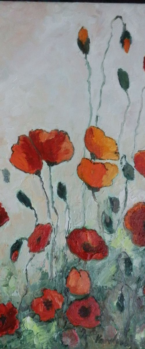 Summer and poppies by Maria Karalyos