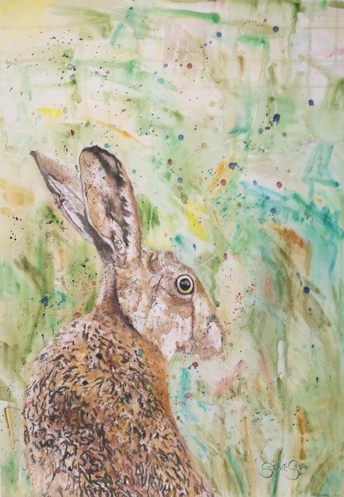 Remain Calm ( on paper ) Free Shipping Hare Painting on Paper. by Steven Shaw