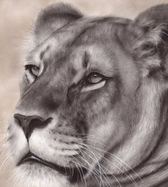 Majestic Queen