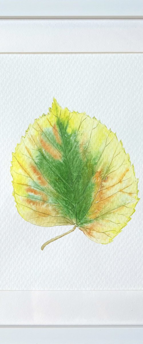 Autumn leaf Sketch #2 by Tetiana Kovalova