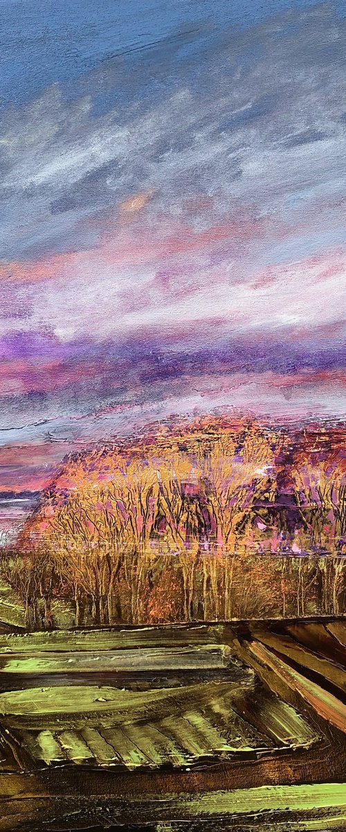 Anatomy of a Landscape 1 by Simon Jones