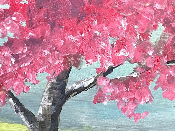 Cherry Blossom Tree