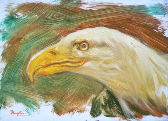 Oil paintingl animal  bird art EAGLE #16-4-18