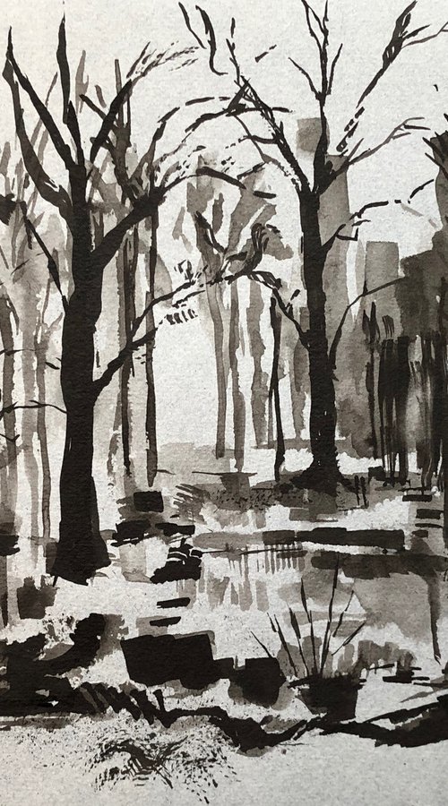 Through the birch trees by Annie Meier
