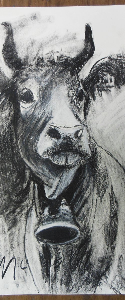 Swiss Cow Drawing I by Ben McLeod