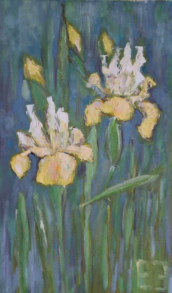 Yellow irises