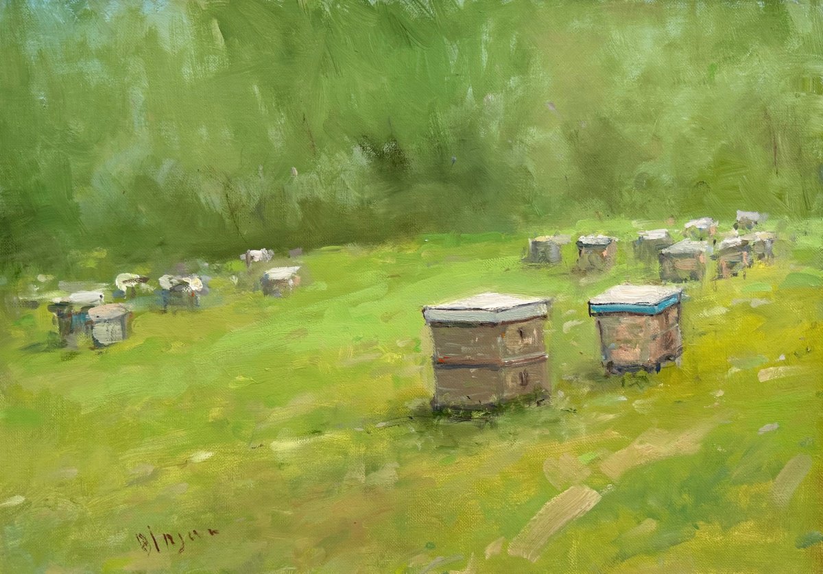 Beehives by Karen Darbinyan