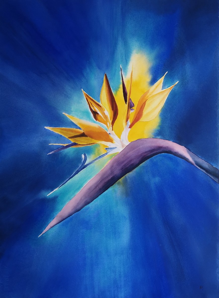 Impressionistic Botanical Watercolour By Aneta Gajos, 22 X 30, Happiness, Original Artwork