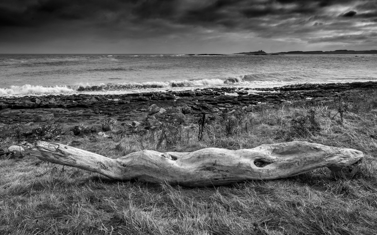 Driftwood at Low Newton on the Sea - Northumbria by Stephen Hodgetts Photography