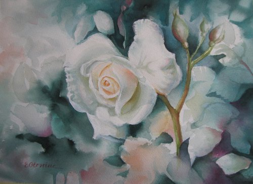 Rose by Elena Oleniuc