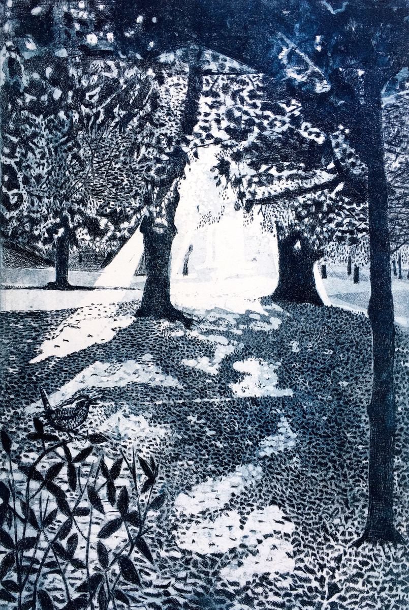 Illustrative Etchings & Engravings , Dazzled By Janis Goodman, 12 X 18, Artwork For Sale On Artfinder