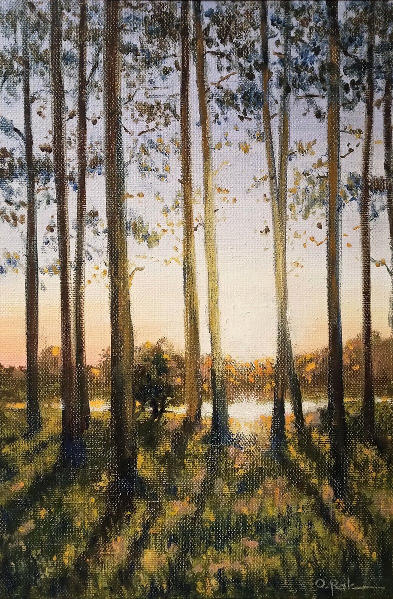 Impressionistic Landscape Oil Painting By Oleh Rak, 16 X 24", Pine Trees On The Shore, Original Artwork