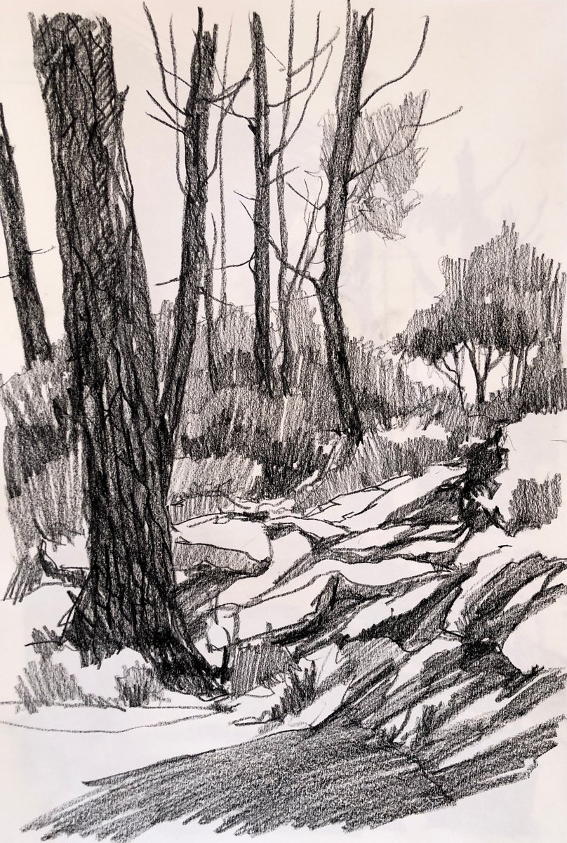 Trees and rythms 5 by OLGA BELOBORODOVA