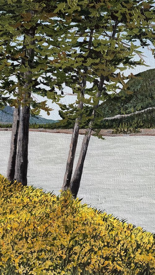 The Scent of Summer by Anne Shaughnessy