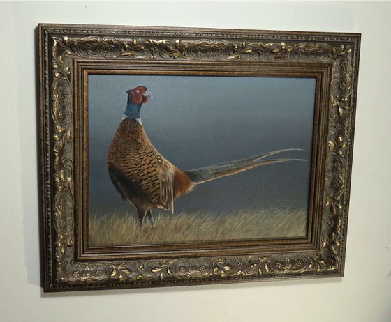 Pheasant Painting, Bird watchers artwork, Game Birds Framed Art, Garden Animals, Original not Print, Gun Dog, Hunting