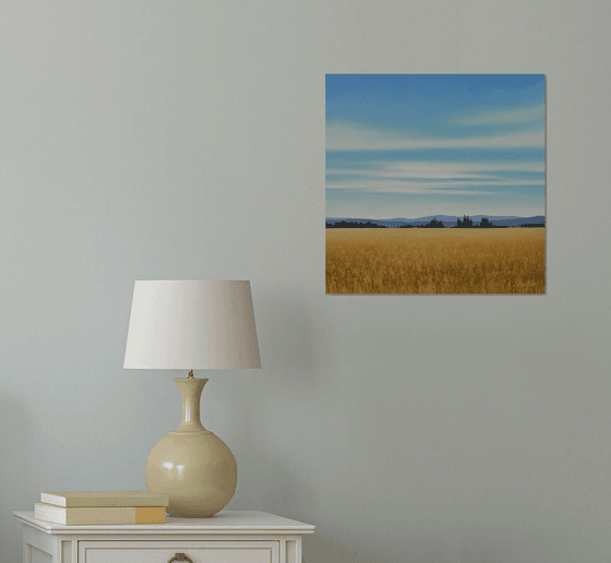 Gold Wheat - Blue Sky Landscape