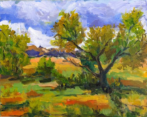 Sunlit Valley