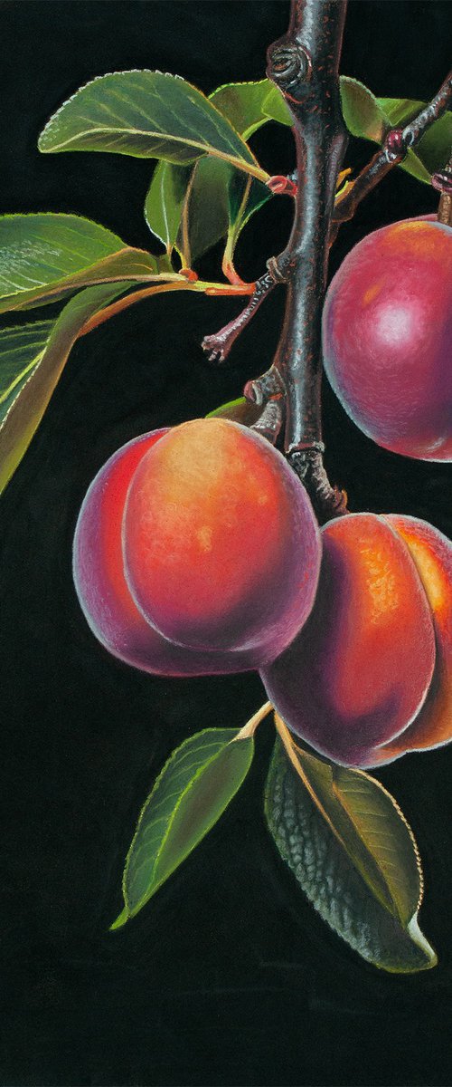 Before the Fall by Dietrich Moravec