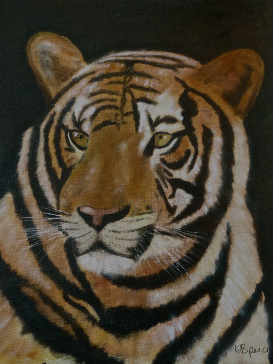 Tiger Tiger by Karen Spence