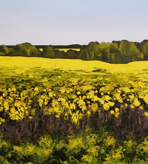 "Golden Canola Field" by Vera Hoi