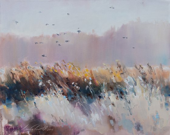 Birds over the field