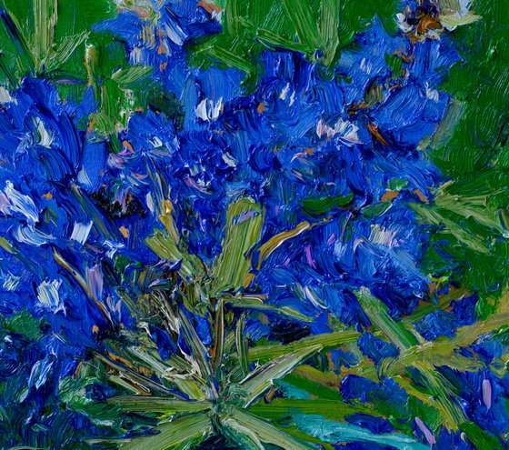 Bluebonnet Flowers