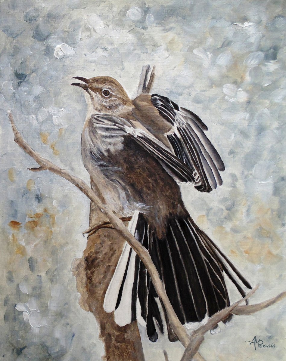 Impressionistic Animal Oil Painting By Angeles M. Pomata, 10 X 13, Mockingbird Grandeur, Original Artwork