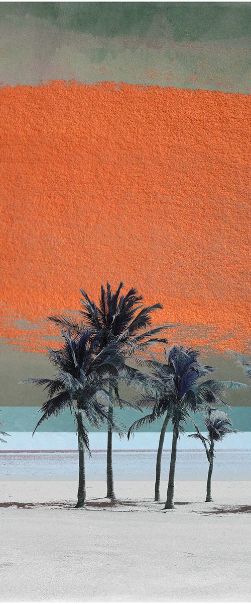 Florida Keys by Nadia Attura