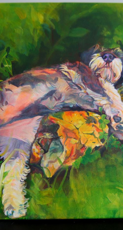 Dog in the rockery by Karen Wilcox