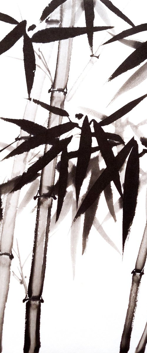The Shadowy Depths of a Forest by Ilana Shechter