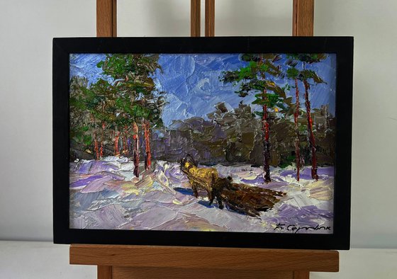 Winter Road through Quiet Forests