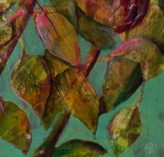 Protea Symphony III.