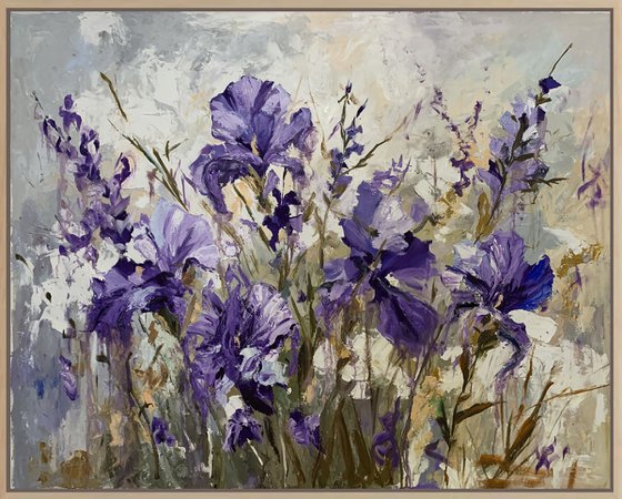 Lavender Breeze of irises.