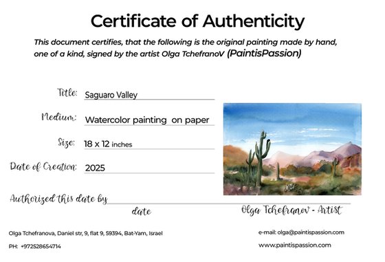 Saguaro Valley