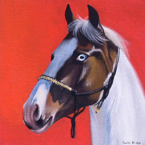 Horse Portrait 67