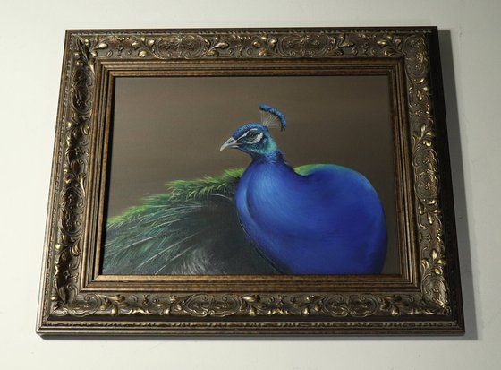 Peacock Turning