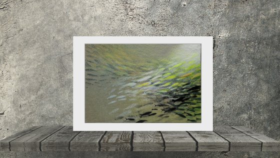 Fish nº28