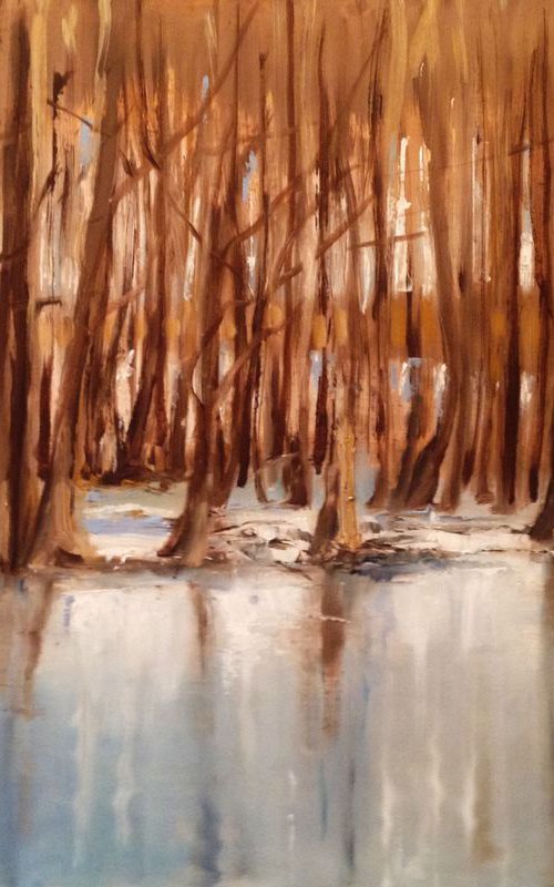 Winter lake reflection- original oil painting - 40 x 60 cm ( 16 x 24 Inches) by Carlo Toma