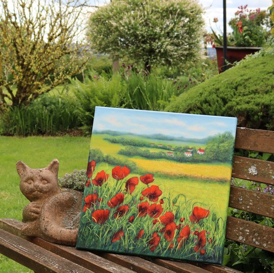 Red poppies