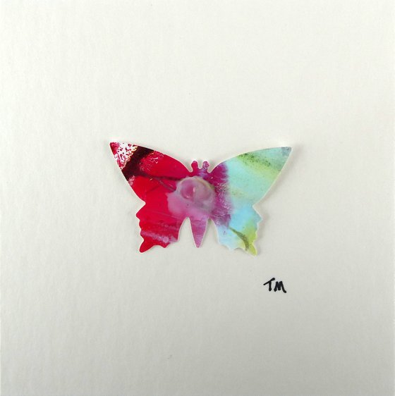 One Pink and Turquoise Butterfly