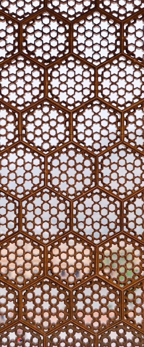 Amer Fort, Jaipur V by Tom Hanslien