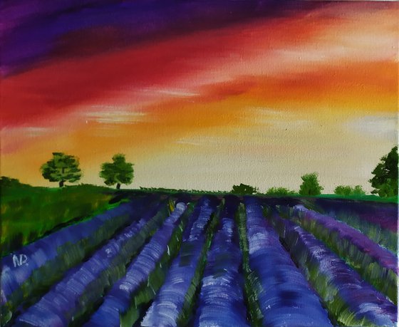 Smell of lavender
