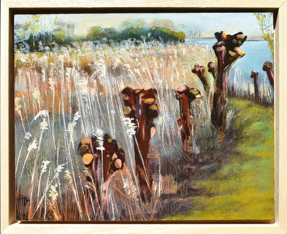Along the Pollard willows