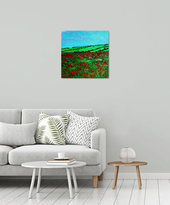 Hampshire Poppy field