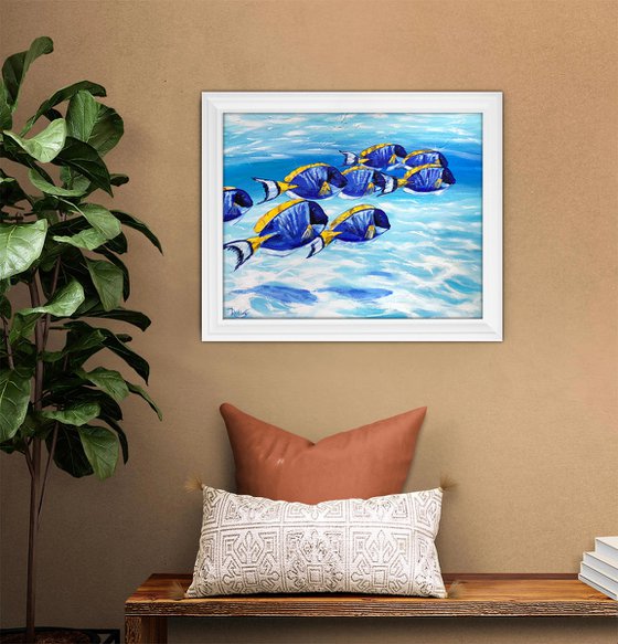 Blue Tang Fish School