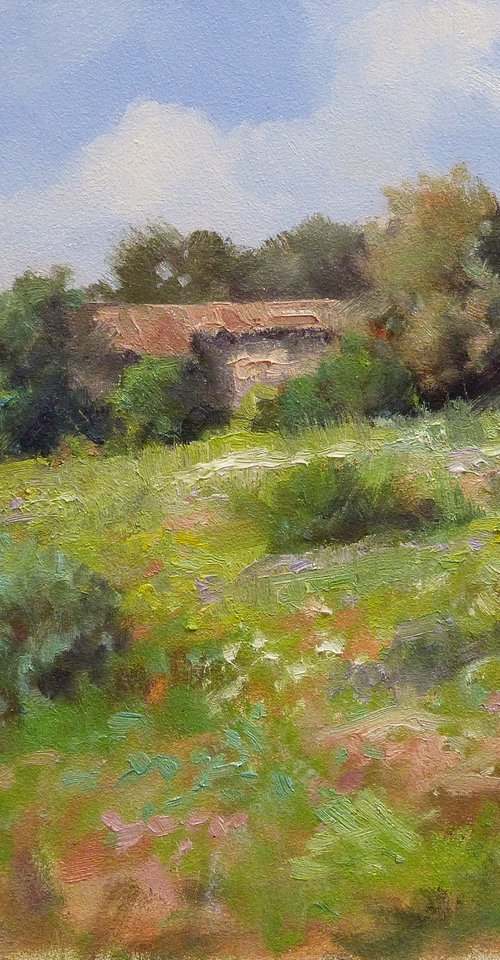 Field in Provence by Pascal Giroud