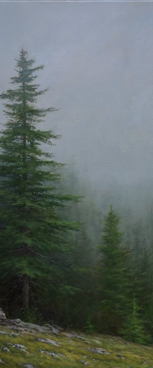 The forest by Gerard Kramer