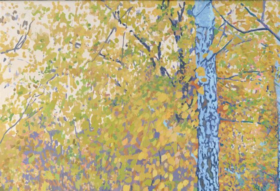 October. Birches