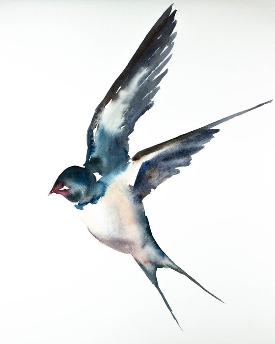 Swallow No. 14